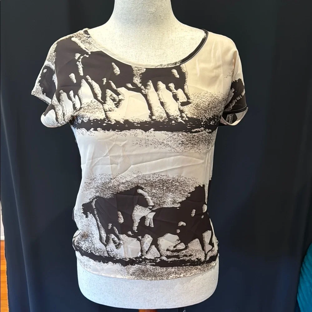 Cherrydress Galloping Horses Women's Graphic Top, medium - Picture 1 of 6